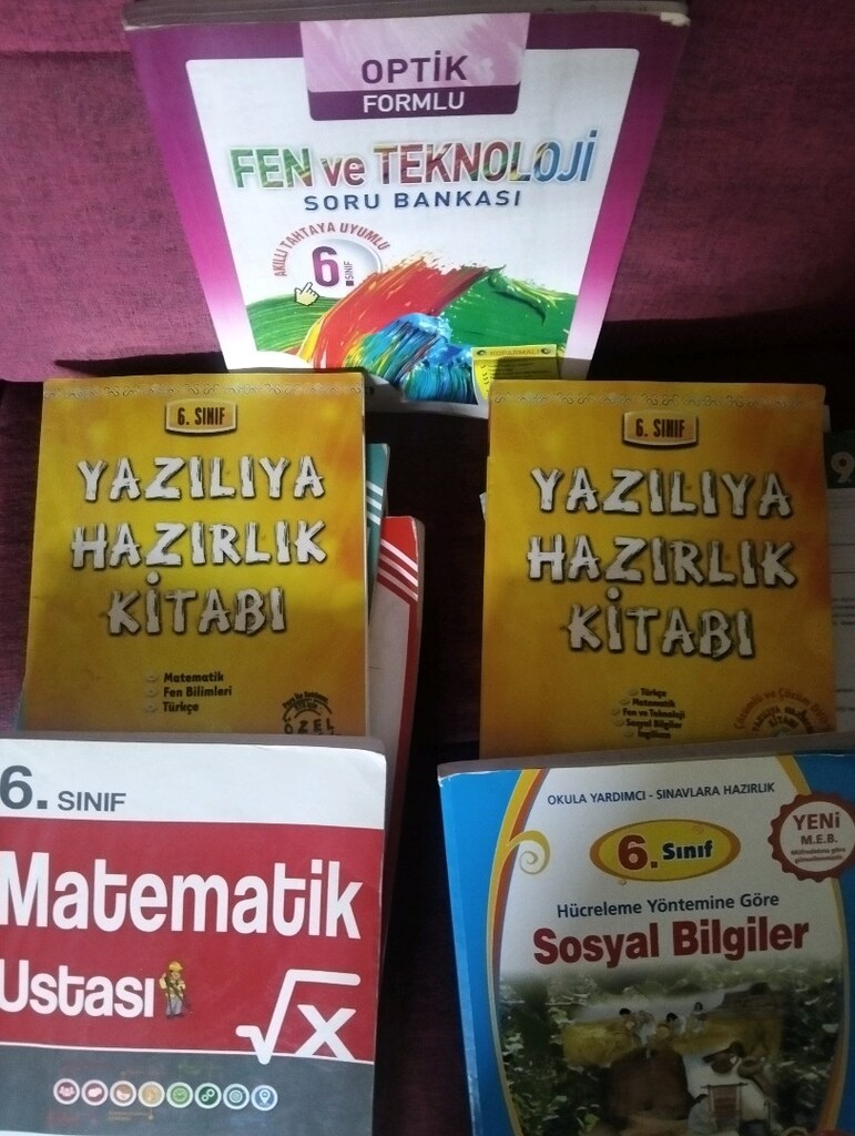 6.sınıf çalışma kitapları - 2