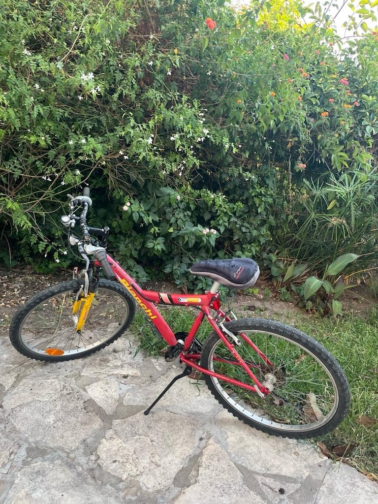 Bianchi 26 Jant Dağ Bisikleti