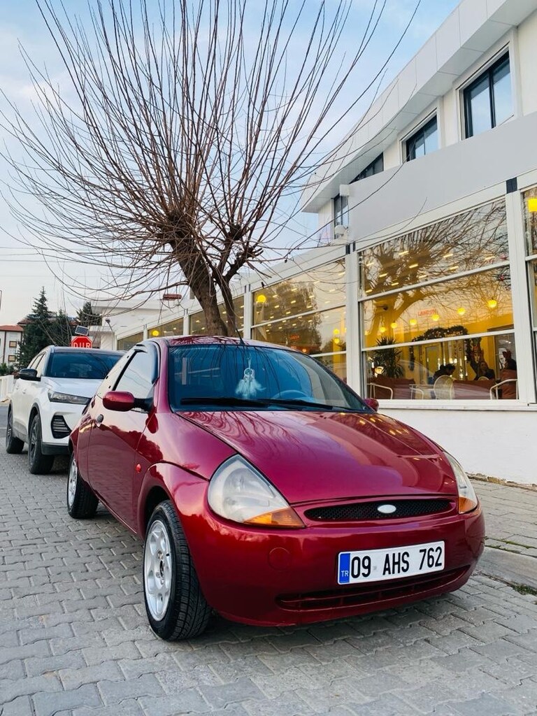 Kusursuz Güzellik - 16
