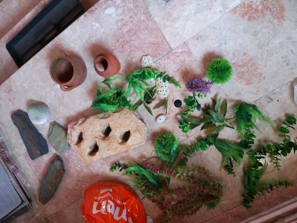 akvaryum taslari - 20