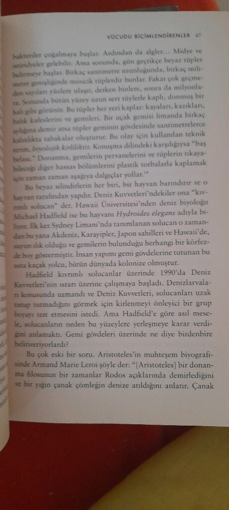 MİKROBİYOTA, ED YONG - 5