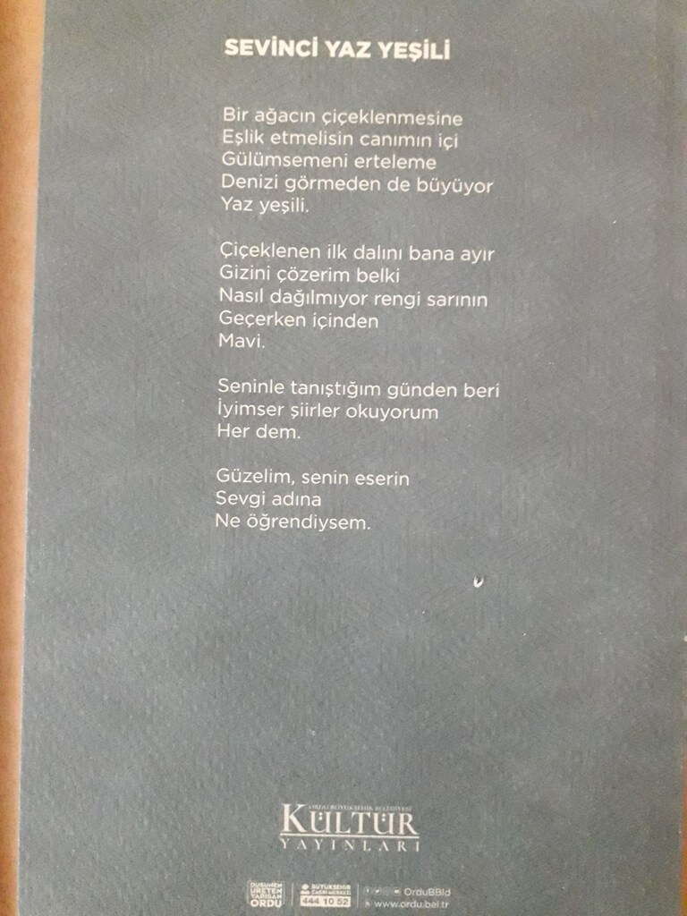 şiir kitapları Gökhan Akçiçek - 5