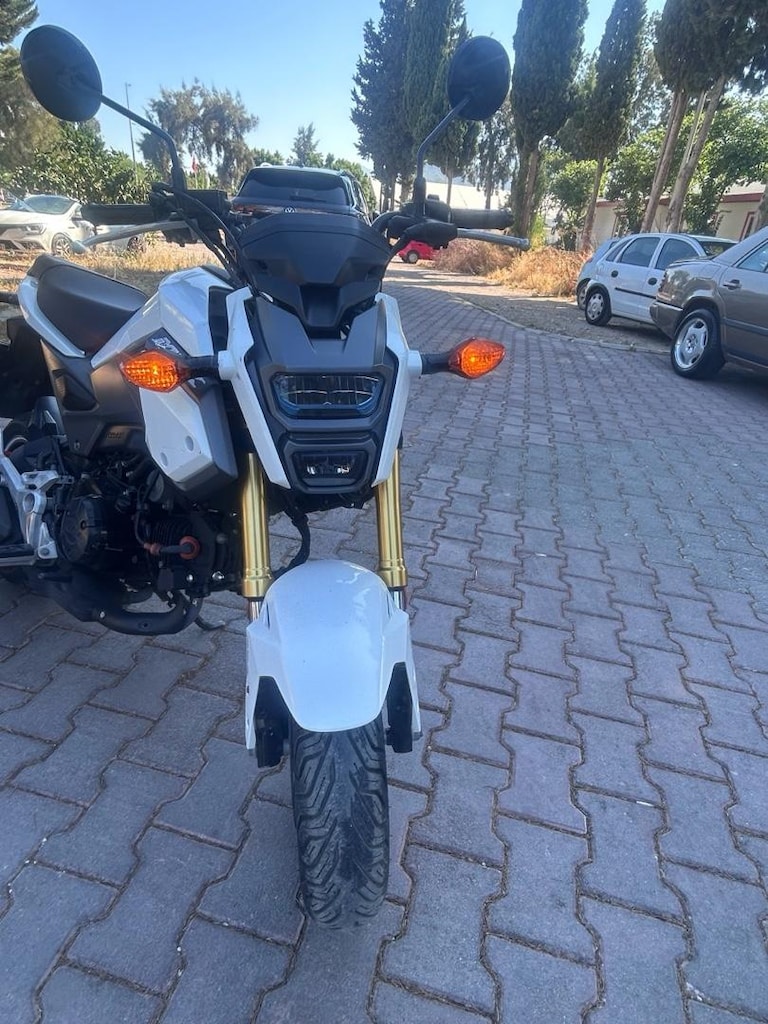 Honda Msx125 - 6