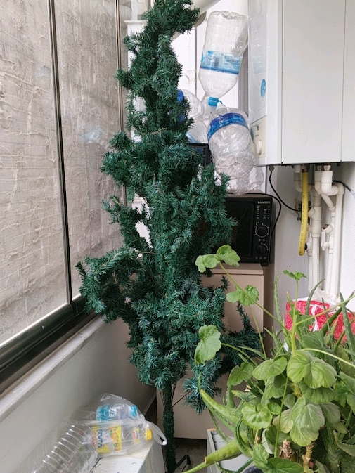 yılbaşı ağacı