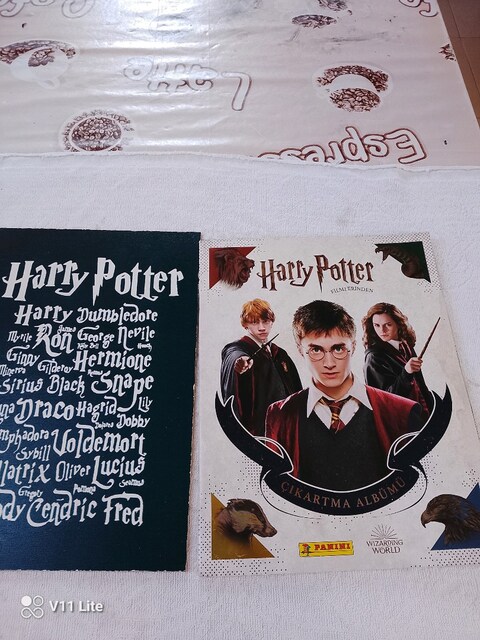 Harry Potter ikisi