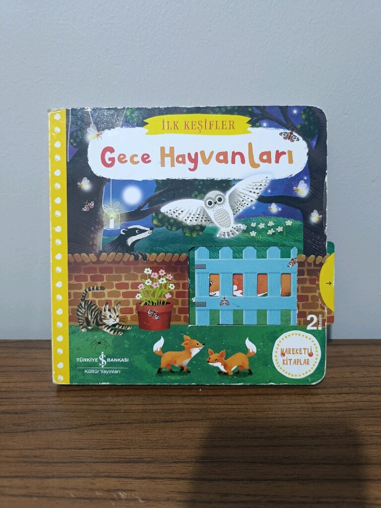 resimli İngilizce eğitici çocuk kitapları - 3