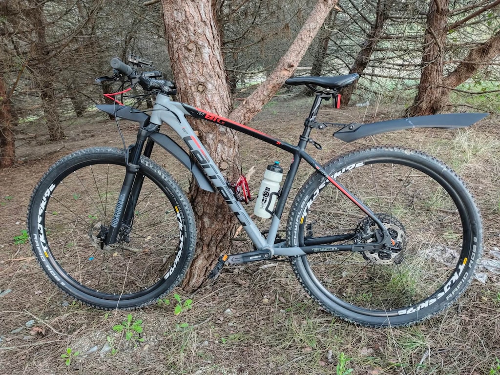 CARRARO BIG 2912 SX EAGLE 29'' Dağ Bisikleti - 3