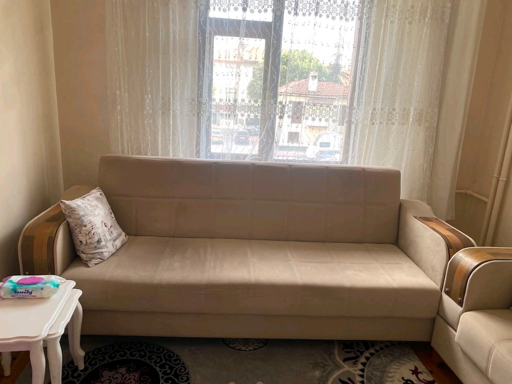 2 tane 3 lü çekyat koltuk - 2