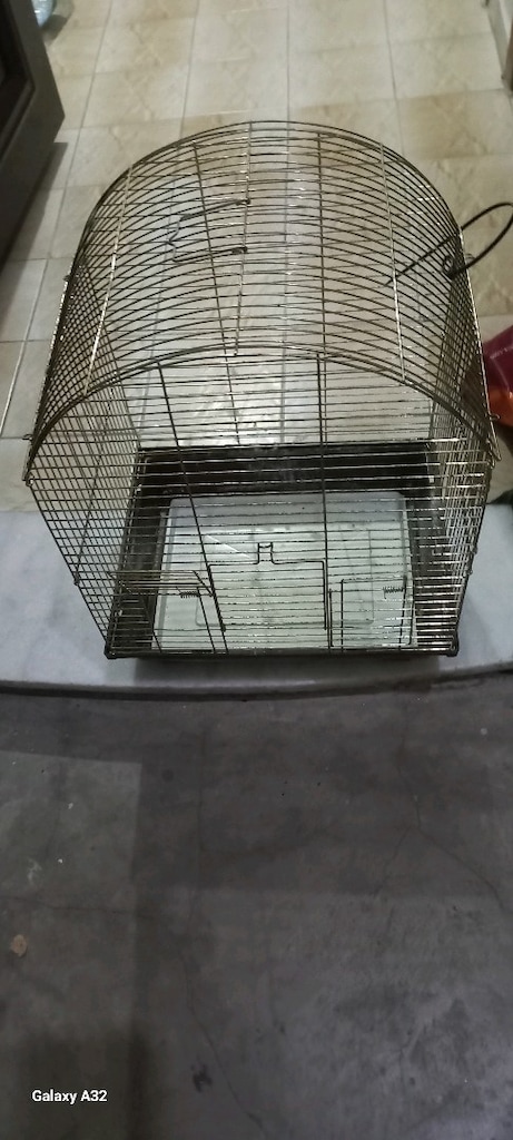 kafes - 2