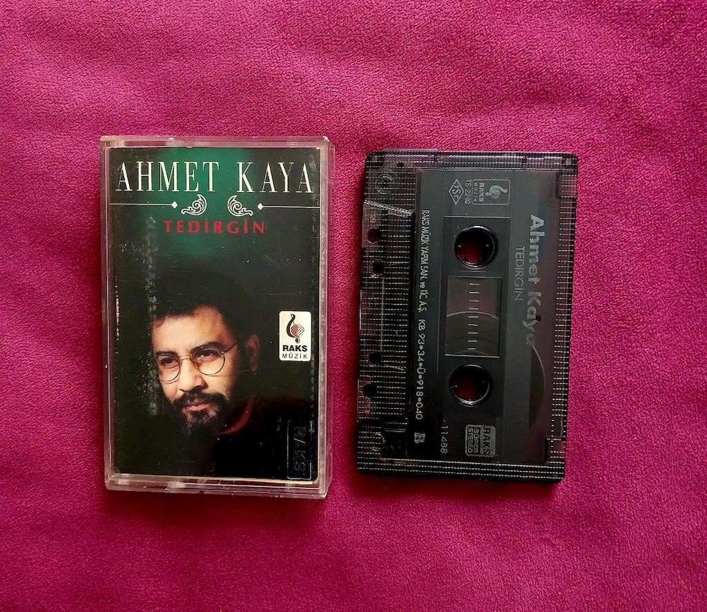 AHMET KAYA "TEDİRGİN" - 2