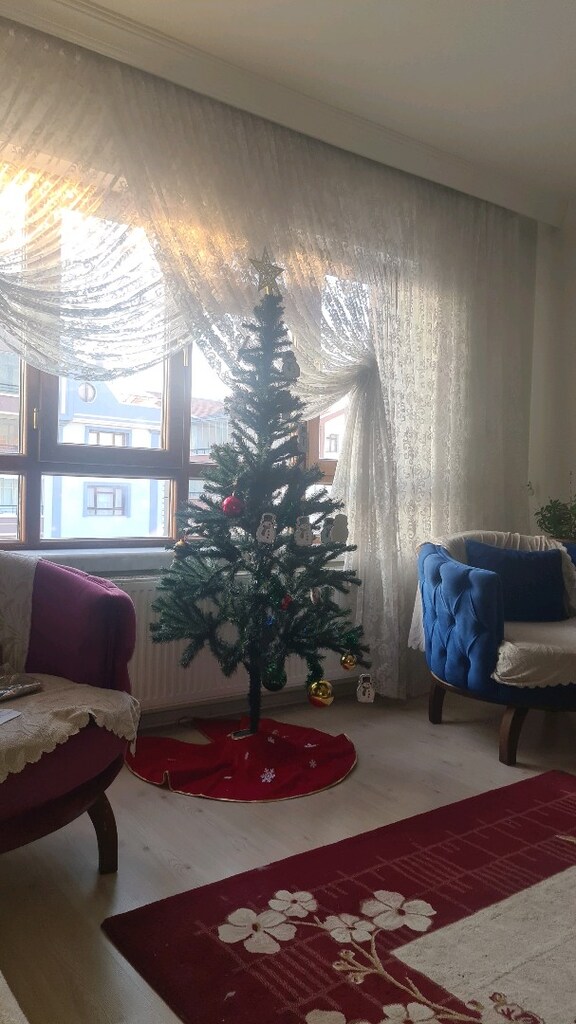 çam ağacı yılbaşı