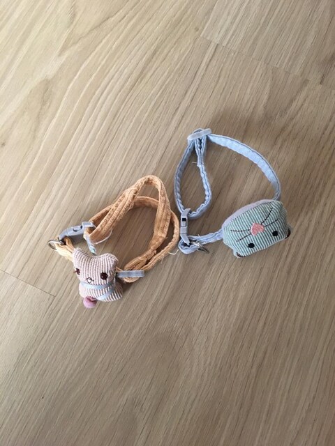 kedi tasması