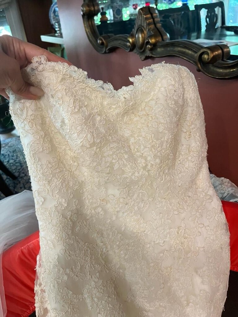 Pronovias Dantel Gelinlik - 4