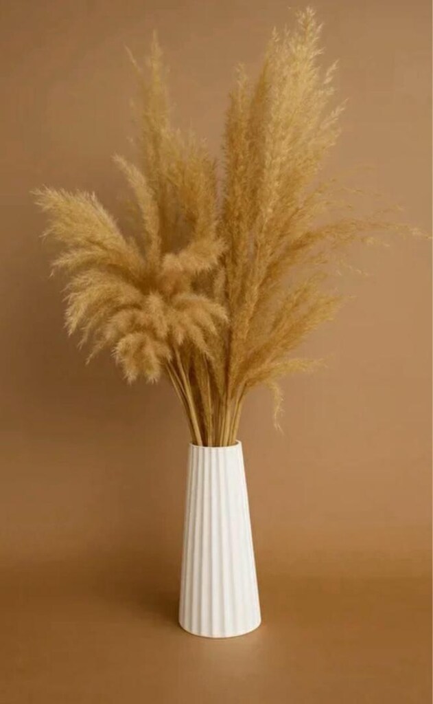 Pampas Otu - 3