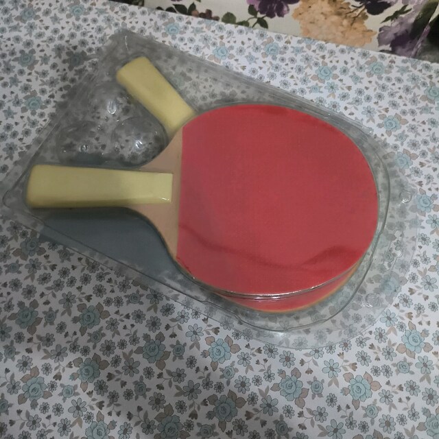 Masa tenisi için raket