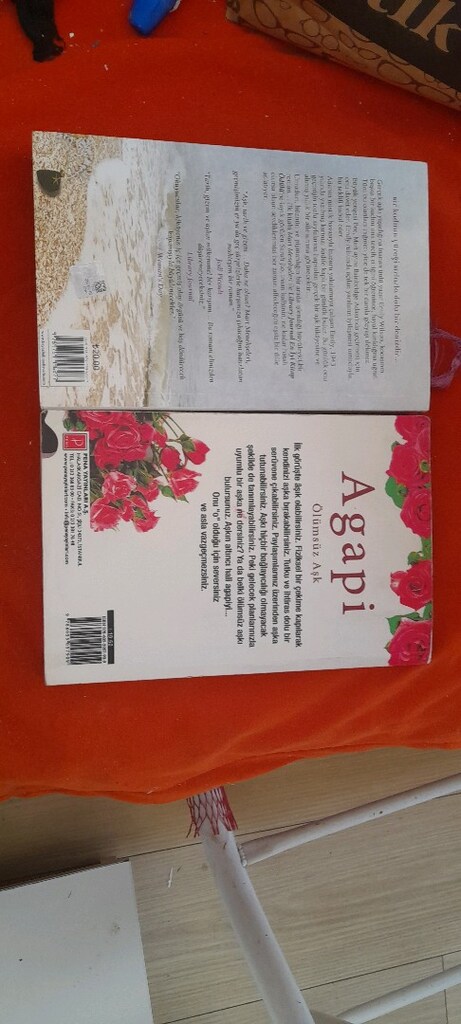BÖĞÜRTLEN KIŞI,,AGAPI, MART MENEKŞELERİ SARAH JİO - 5