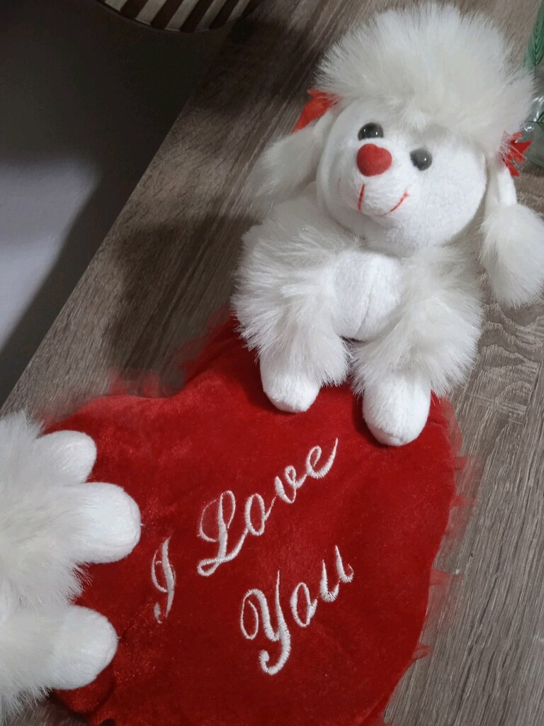 Peluş Oyuncak - 5
