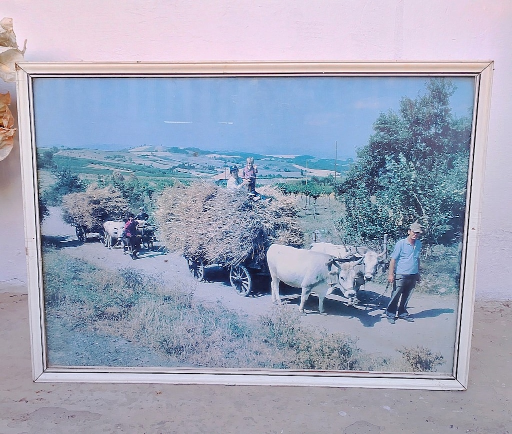Çerçeveli Duvar Tabloları 10 Adet Tablo Hepsi 750 TL - 2