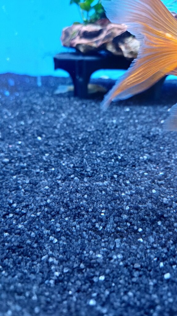 HAGEN BLACK DIAMOND 0.5-1 mm Akvaryum Kumu - 3