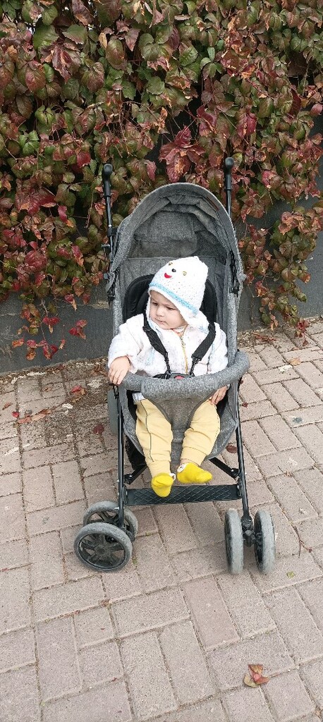 Baston Bebek Arabası - 3