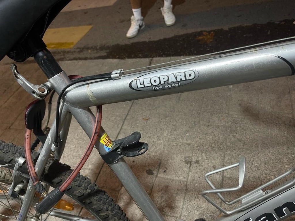 bianchi leopard - 4