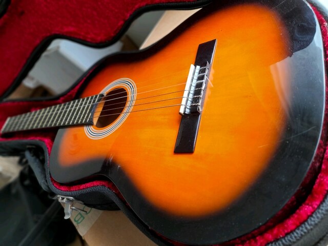 gitar çanta