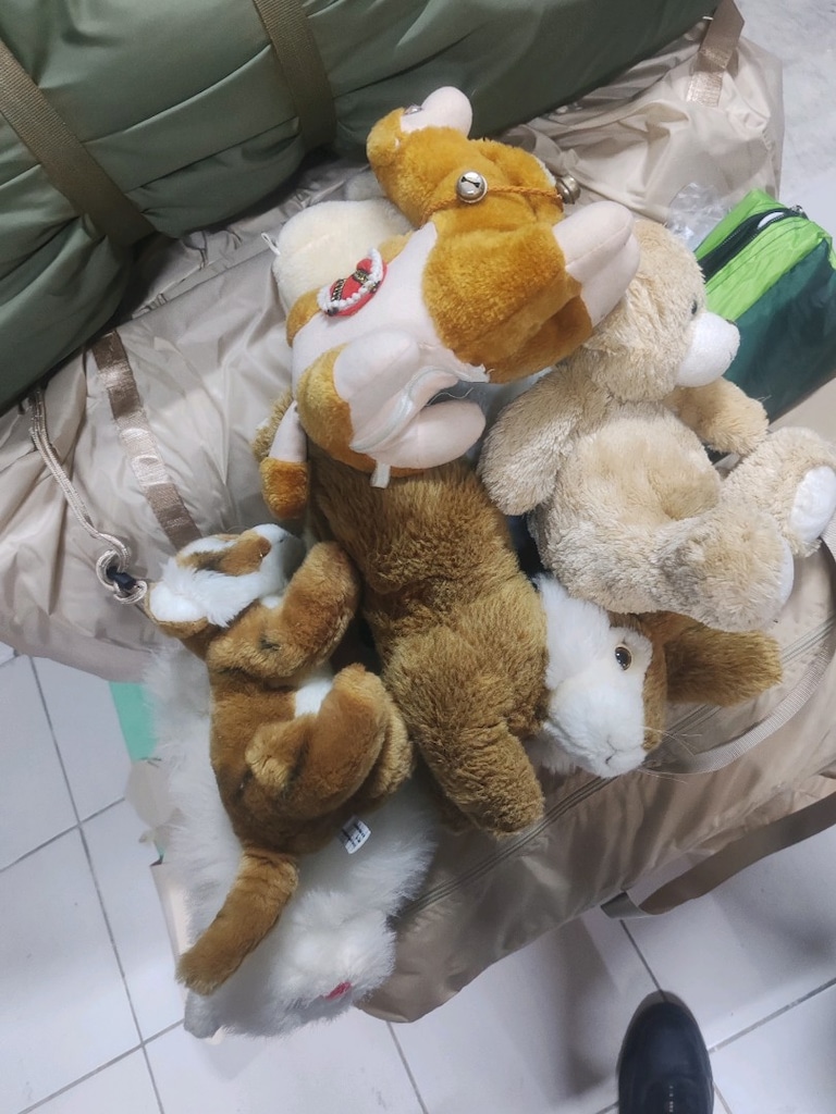 Kahverengi Beyaz Peluşlar - 8