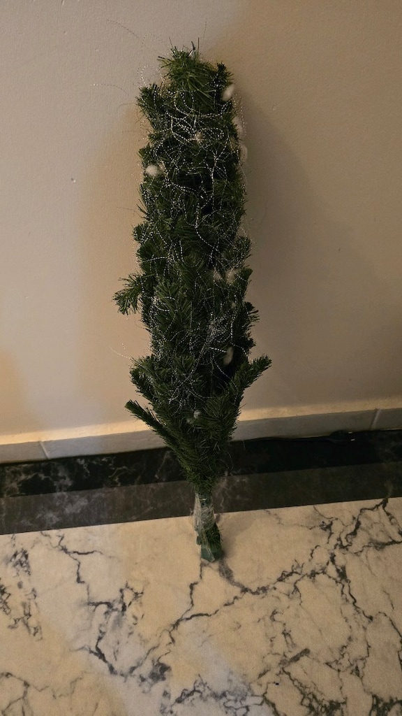 YİBAŞİ AĞACİ 80 cm - 3