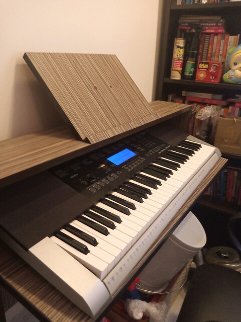 hiç kullanılmamış casio CTK-4400