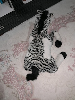 PELUŞ ZEBRA - 3