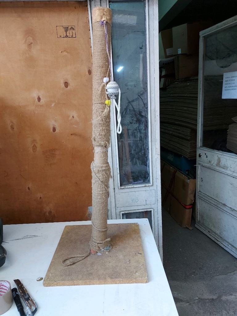 kedi tırmanarak direği yer güngören - 2