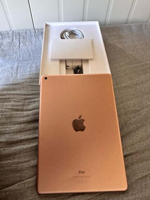 iPad 7 nesil 258 GB