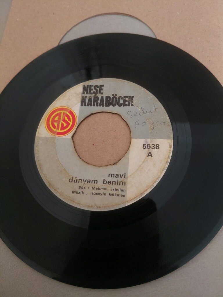 Neşe karaböcek 45'lik dönem plak lar - 2