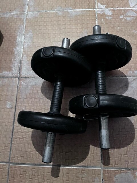 Dambıll spor