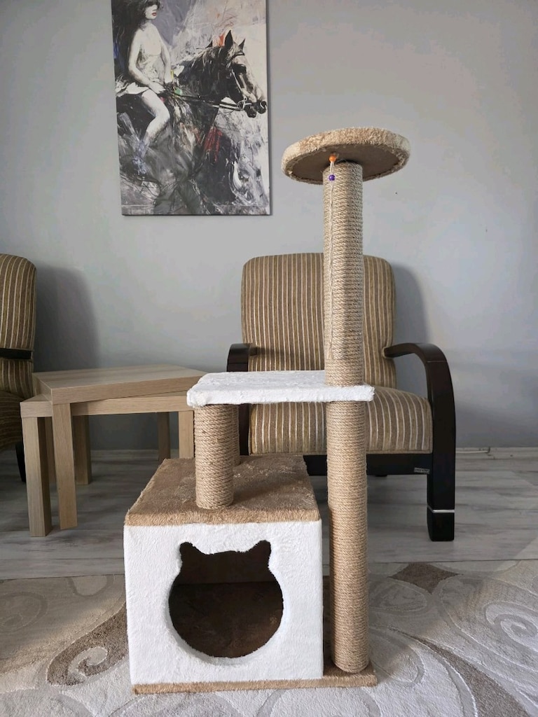 komple kedi seti - 3