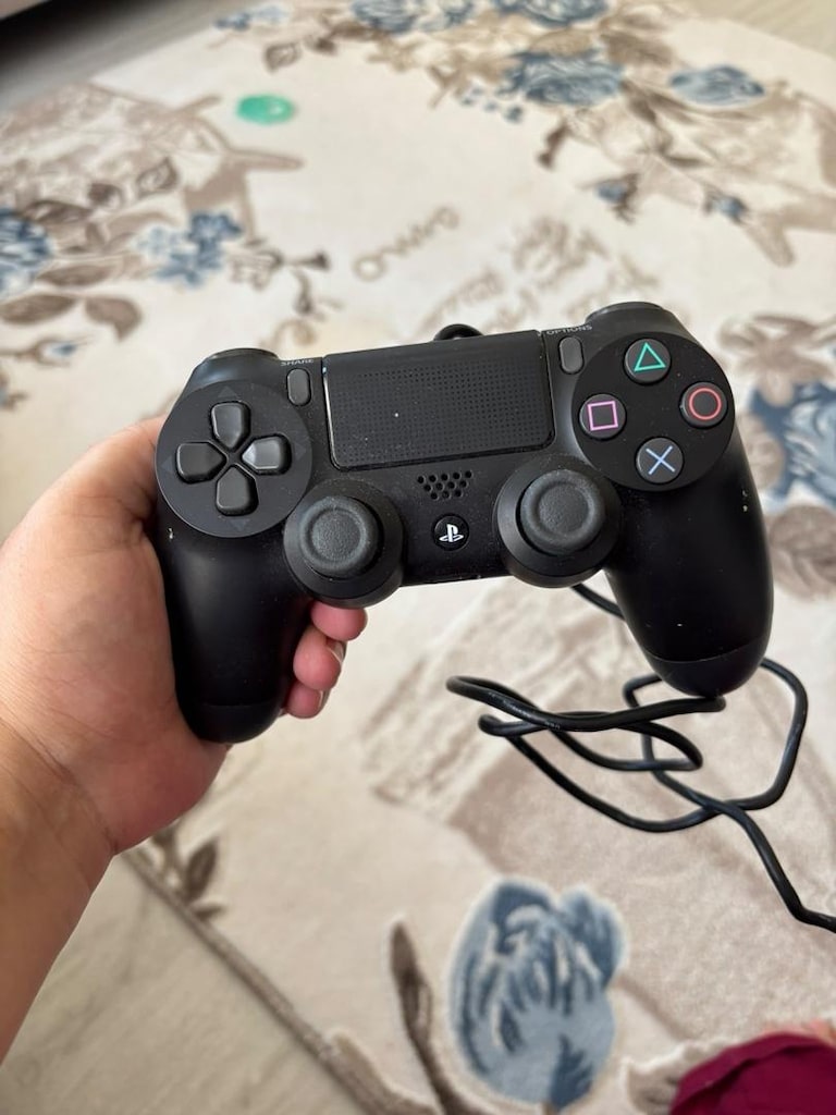PS 4 Oyun Kolu - 2