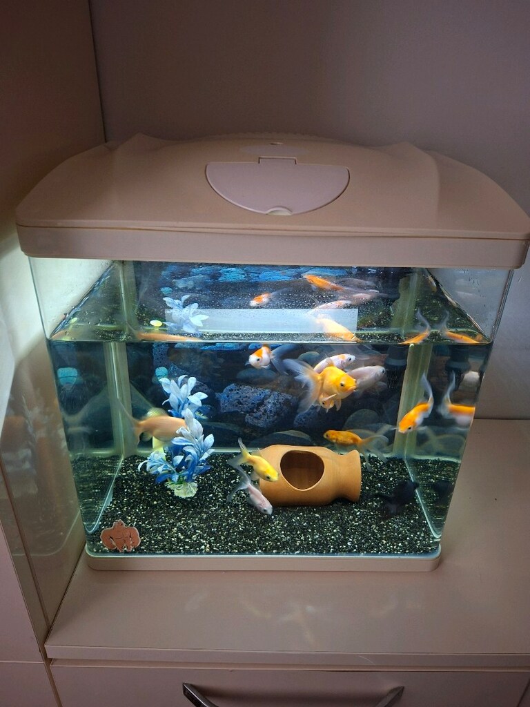 İTAL 50 LİTRE KÖŞESİZ AKAVARYUM - 5
