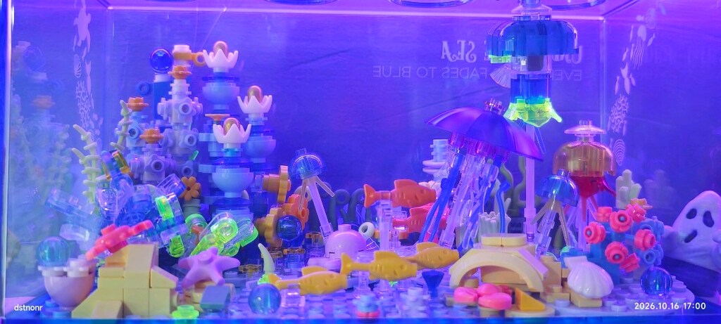 akvaryum - 3