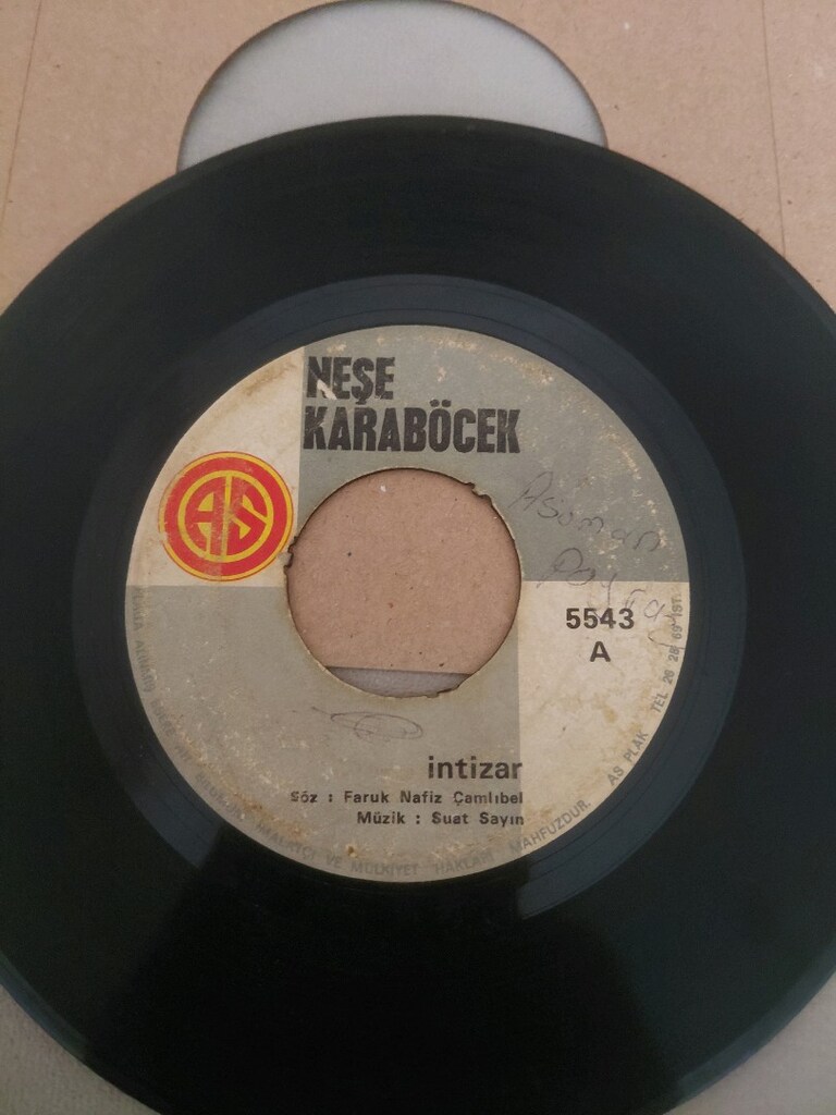 Neşe karaböcek 45'lik dönem plak lar - 8