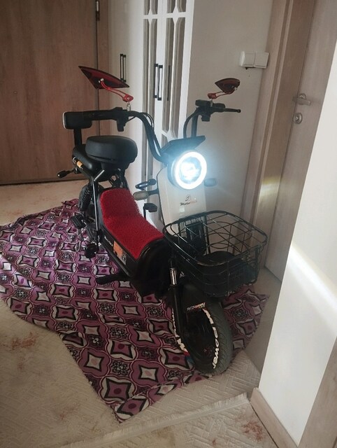 motolux gogo