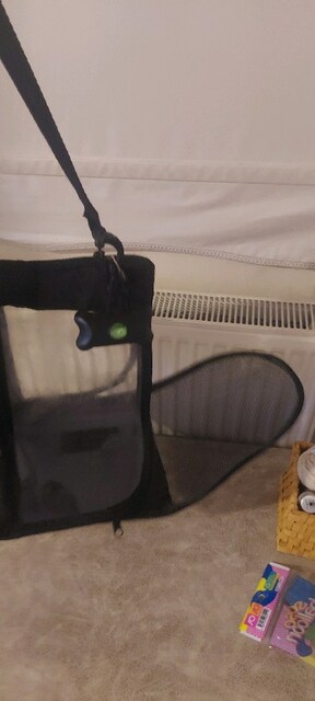 Sıfır gibi tertemiz köpek taşıma çantası