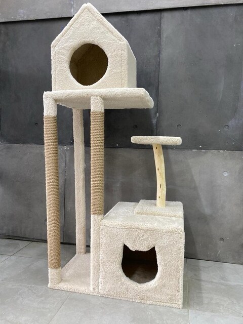 kedi evi
