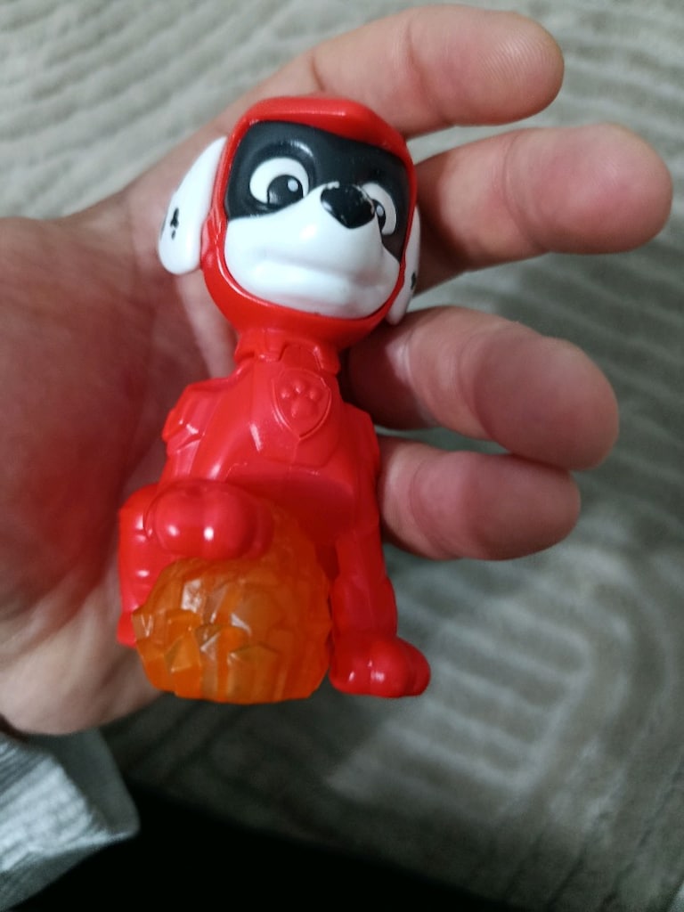 kahraman köpek - 4