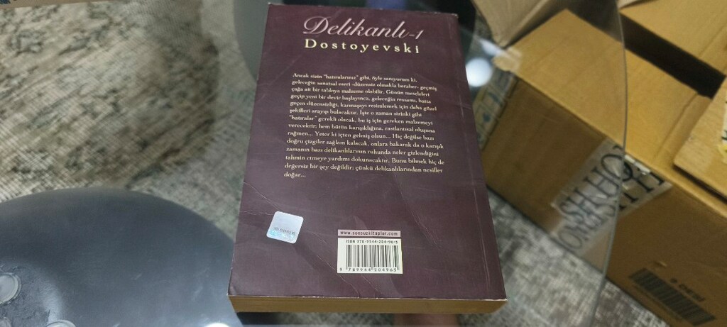 Dünya Klasikleri Dostoyevski Delikanlı 1 - 2