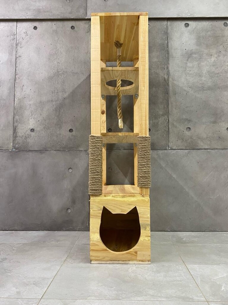 kedi platformu - 2