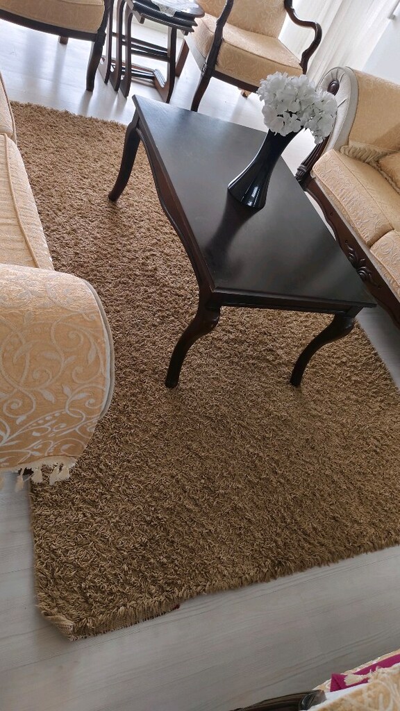 160x230cm dinarsu Shaggy halı - 5