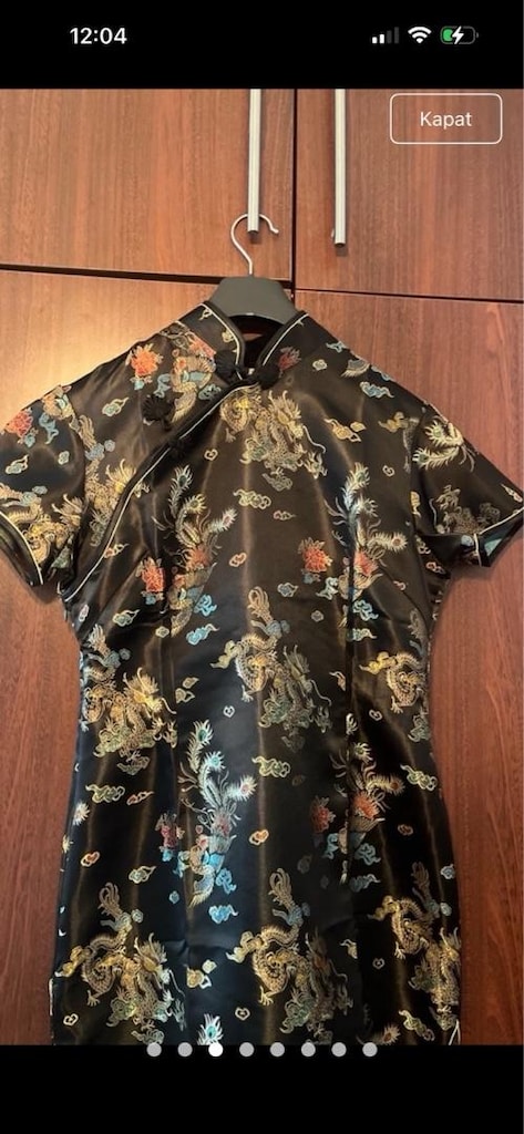 Çin geleneksel cheongsam elbise - 2