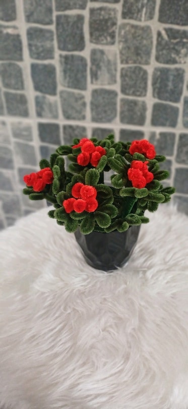 Saksılı Kokina Çiçek - 4