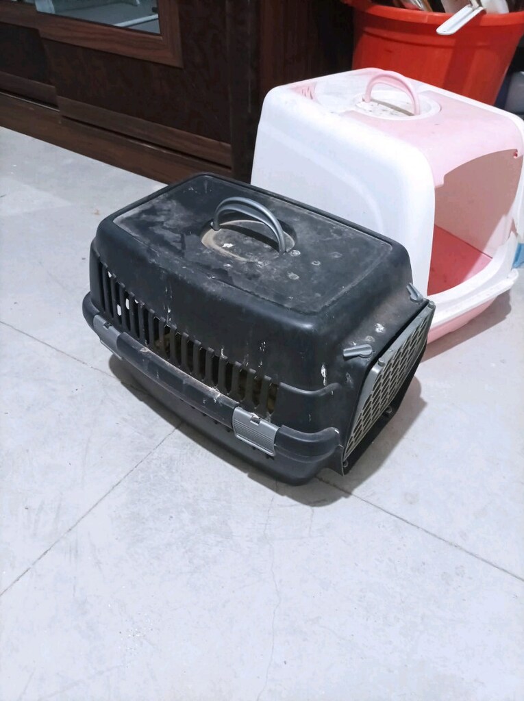 KEDİ TAŞIMA ÇANTA - 5