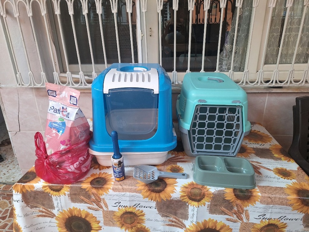 pet shop